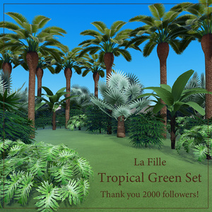 [Free] La Fille Tropical Green Set