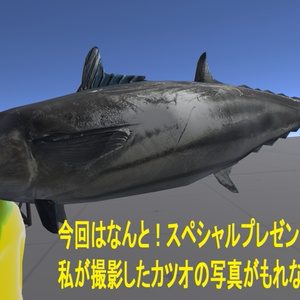 【輝け！！】実際に買ってきた『カツオマン』【超VRChat対応３Dアバター】 缩略图 6
