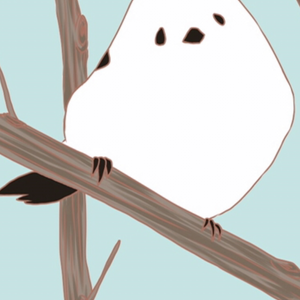 鳥トークン