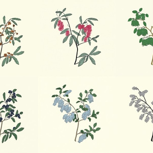 Hana-Monyo Hagi (Bush Clover) - 10 AI Illustration Seamless Patterns | Digital Paper 12x12 300dpi
