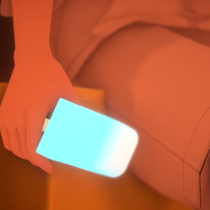 VRChat想定 ソルティアイス