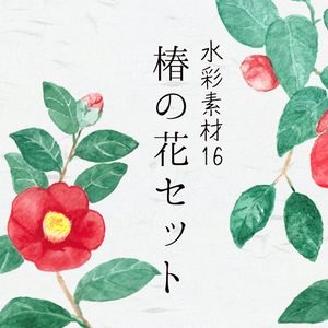 水彩素材16 椿の花セット