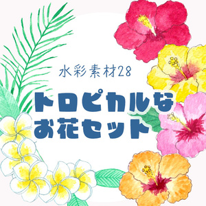 水彩素材28 トロピカルなお花セット