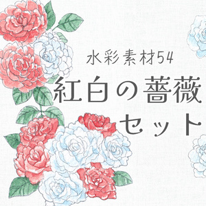 水彩素材54 紅白の薔薇セット