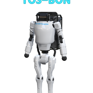 アバター向け3Dデータ「TOSBON」