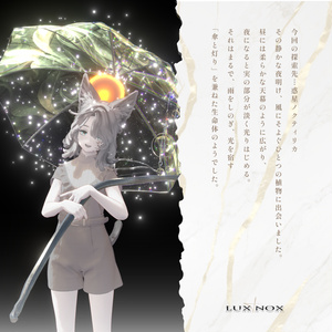 【MA対応】LUX&NOX ルクスノクス - 持ち運べる星空、傘＆ランタン 缩略图 3