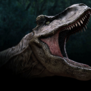 3Dモデル Trex_head