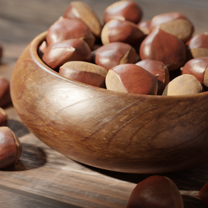 栗/chestnut 【2種】3Dモデル