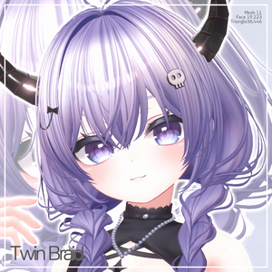 [11 Avatars] Twin Braid Hair