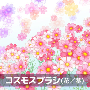 コスモスブラシ