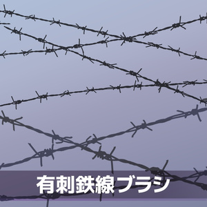 有刺鉄線ブラシ