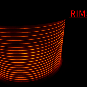 RIMS