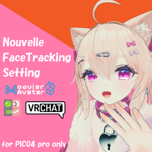 Nouvelle ヌーヴェル FacialTracking Setting