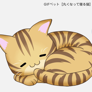 GIFペット＿【丸くなって寝る猫】