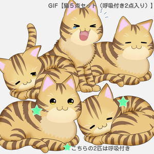 GIFペット＿【猫５点セット（呼吸付き2点入り）】
