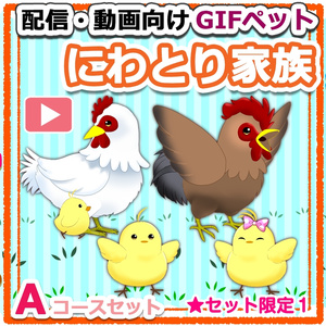 【OBS対応】配信用GIFペット＿【ニワトリ家族Aコースセット】