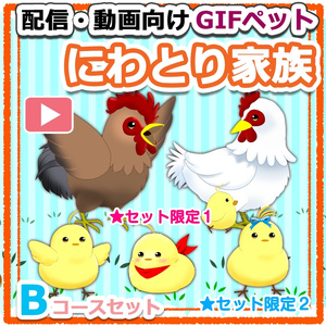 【OBS対応】配信用GIFペット＿【ニワトリ家族Bコースセット】