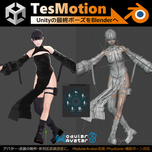TesMotion