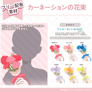 【フリー素材】カーネーションの花束💐⊹˚／全６色