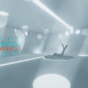 VoxKVolumetricDirectionalLight