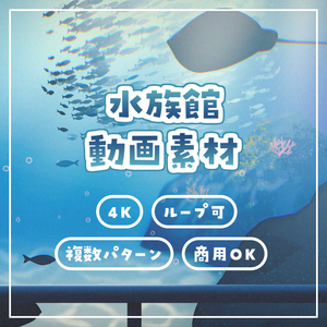 【24時間限定セール中】ベーシックな水族館（4K／60fps／ループ）【動画素材】