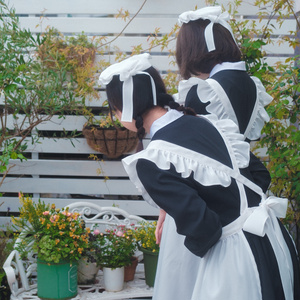 Mサイズ】ワンダーパーラー クラシカルメイド®︎服 ショート丈