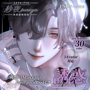 【4アバター対応】誘惑Make up 3pattern Makeup & Eyes texture 30color ＋調整済みPost-process付き Chic Blanc X Oore 缩略图 2