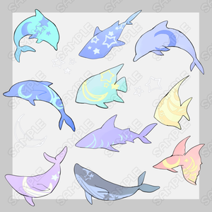 星空×海の生き物　10種