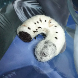 かぶとむしのこども
