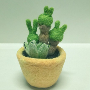 うさぎ多肉の寄せ植え