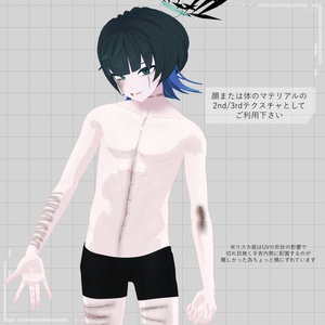 【刃錐専用】顔/体傷テクスチャ【同梱パスワード必須】 缩略图 2