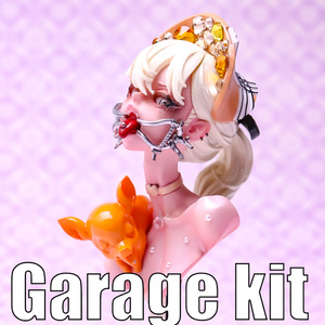 フラン 1/8 ファイナルファンタジー ガレージキット 未塗装 フィギュア 61Oxh6g8lsL._AC_UF894,