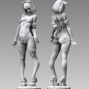 『​Stepgirl-CAT』 STL file for 3D printing 缩略图 2