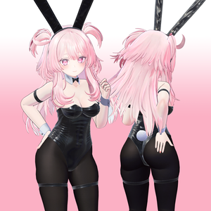 Bunny Suit (Selestia)