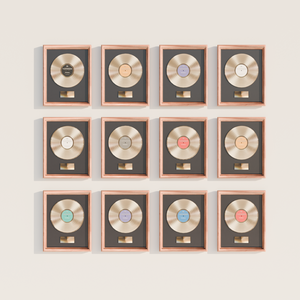 Record/Vinyl Frames