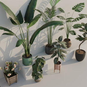 Home Decor Asset Pack!! 缩略图 3