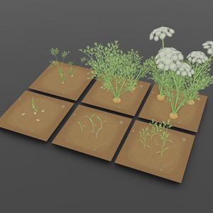 【無料セット】　ニンジン栽培・料理セット　Free Carrot Growing and cooking set 缩略图 2