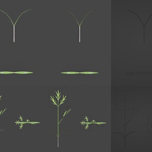 【無料セット】　ニンジン栽培・料理セット　Free Carrot Growing and cooking set 缩略图 5