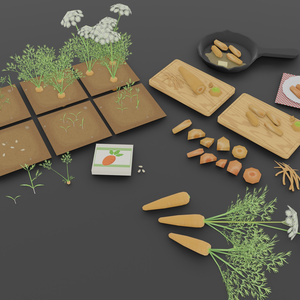 【無料セット】　ニンジン栽培・料理セット　Free Carrot Growing and cooking set