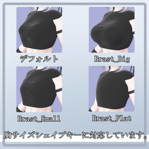 【無料】Sioちゃん用のシンプル布服・MA対応 缩略图 4