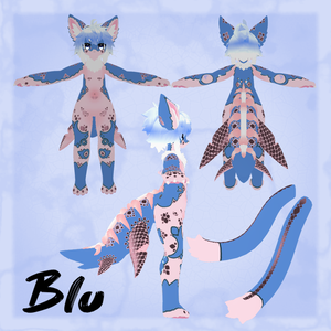 Armored Chalo -  Blu (Texture)