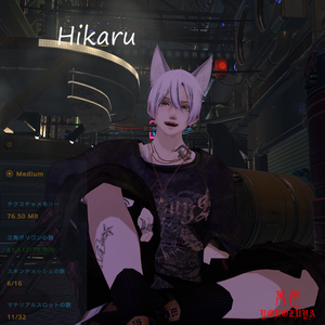 【FBX/VRM/XAvatar】ヒカルくん アバター　＆　Vroidヘアープリセット　/VRMアバター  FBXアバター