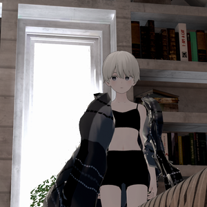  3Dモデル「ビッグショール」【VRChat向け】(Grus)