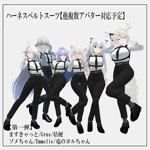 ハーネスベルトスーツ【12アバター対応】