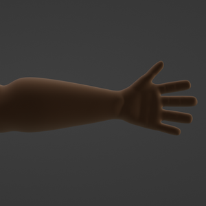 MidPoly FPS Arms V.1