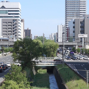 ＜特別セット販売！＞札幌駅近くの様子・空と雲・雪がしんしんと 初売りセット