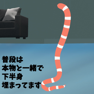 目と体がよく動く！にしきあなごのにしきくん【おまけ追加】 缩略图 4
