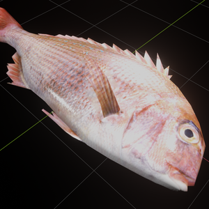 【3Dモデル】活魚(鯛)ビチビチシェイプキー付　ローポリ