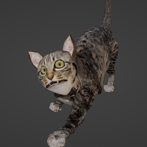 【3Dキャラクター】ブサ猫　パル君　(Blender Rigify)　ローポリ