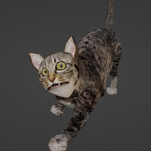 【3Dキャラクター】キジ猫(Blender Rigify)　ローポリ